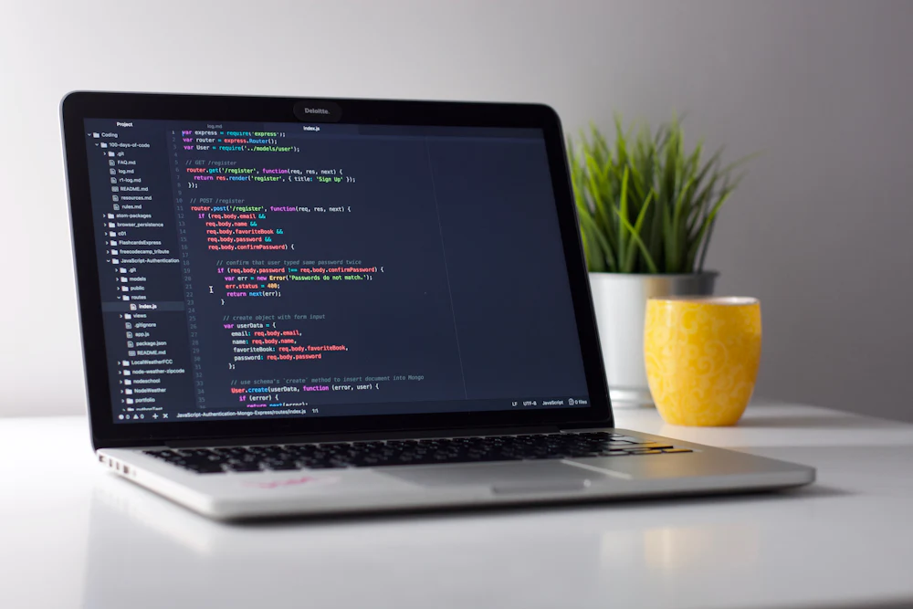 WordPress developer coding a custom theme